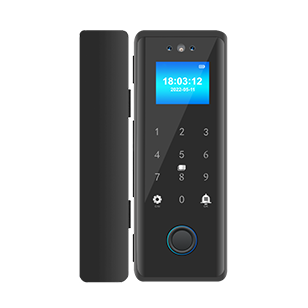K200-FACE facial and fingerprint glass door lock